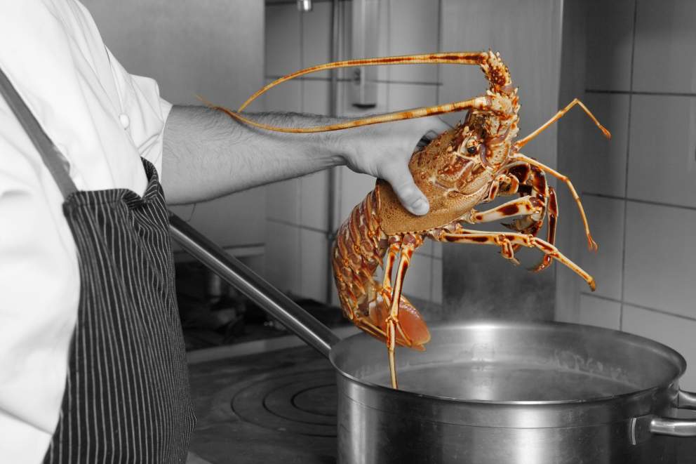 langoustine